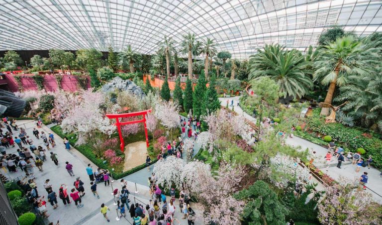 khu-nha-hoa-flower-dome