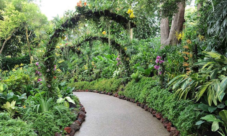 kham-pha-vuon-lan-national-orchid-garden