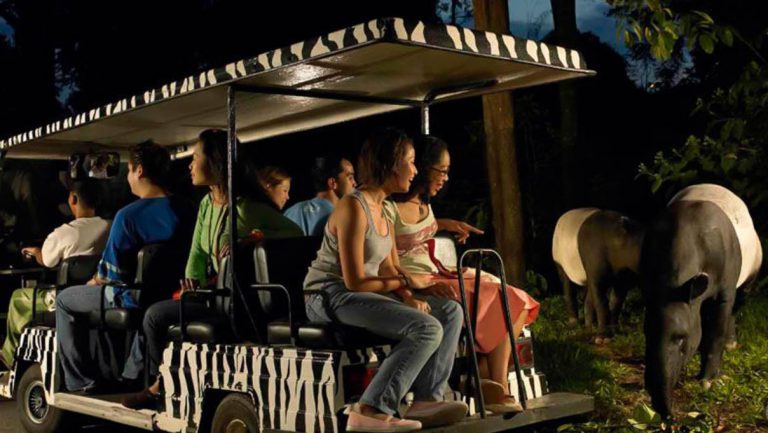 kham-pha-vuon-thu-dem-night-safari-singapore
