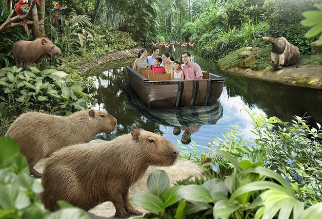 Vé River Safari Singapore
