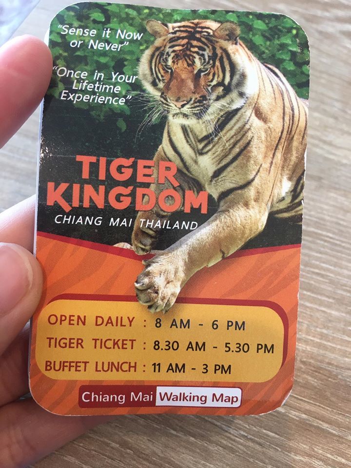 vé tham quan vương quốc hổ tiger kingdom