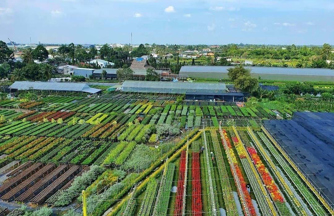 làng hoa sa đéc nhìn từ trên cao