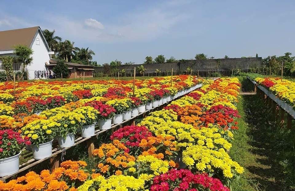 tham quan làng hoa sa đéc