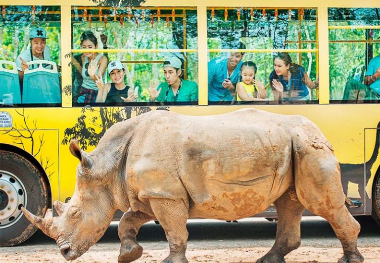 khám phá vinpearl safari phú quốc