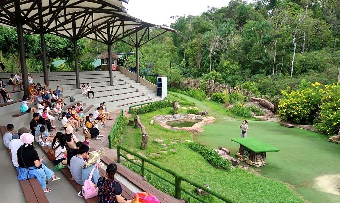 show xiếc thú tại vinpearl safari phú quốc