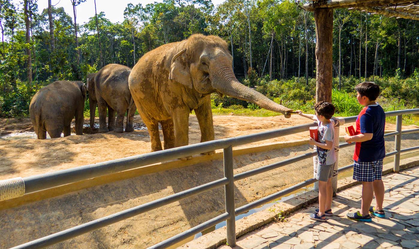 tham quan vinpearl safari phú quốc